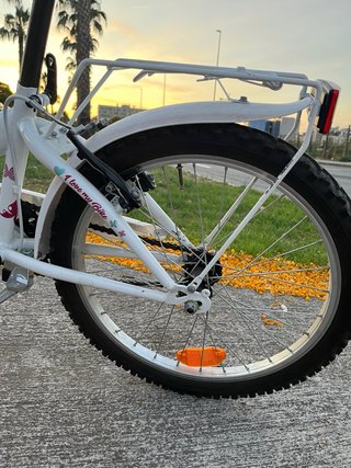 Bicicleta infantil Simba 20’