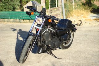 Harley-Davidson Sportster 883 Iron