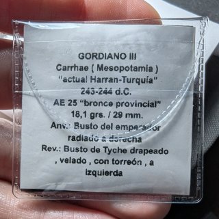 Moneda provincial Gordiano III Carrhae