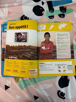 Libro francés + CD: Les reporters 2