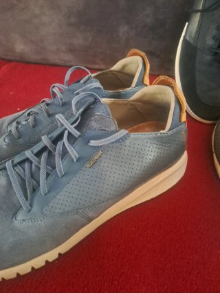 Scarpe Geox Uomo Taglia 43