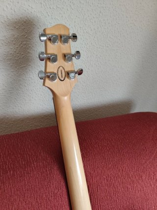 Guitarra Line 6 Variax 500
