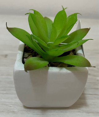 Piantine artificiali KmtStyle Garden