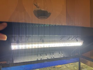 Acuario 80L