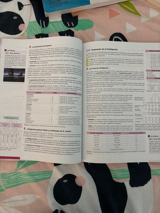 Libro Psicología 2 bachillerato, McGrawHill