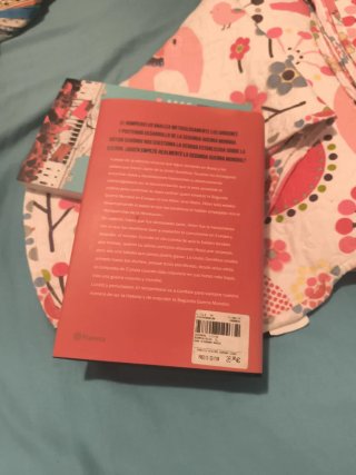 El rompehielos ¿Quién empezó la Segunda Guerra ...