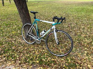 Bicicleta Zeus Clásica
