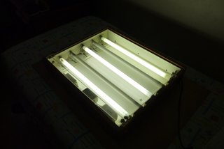 Mesa de luz radiografías dibujo calco con paralex