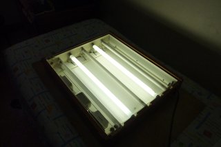 Mesa de luz radiografías dibujo calco con paralex
