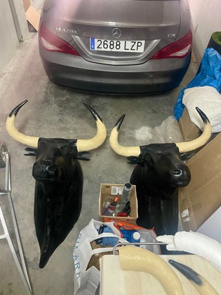 Cabeza de Toro Fibra de Vidrio.