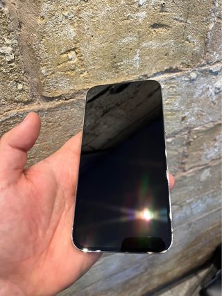 iPhone 13 Pro Max Plata