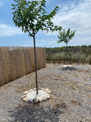 Parcela 1600 m2