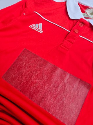 Camisola SL Benfica 2010/11 Adidas