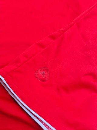 Camisola SL Benfica 2010/11 Adidas