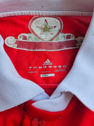 Camisola SL Benfica 2010/11 Adidas