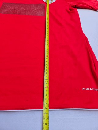 Camisola SL Benfica 2010/11 Adidas