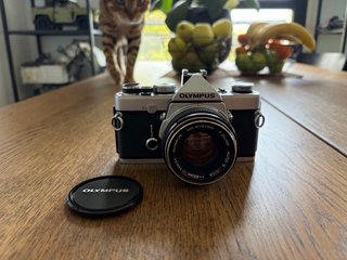 Olympus OM-1 + Zuiko 50mm