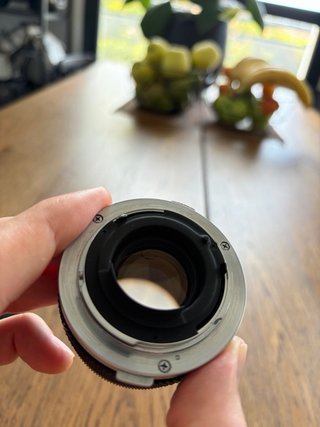 Olympus OM-1 + Zuiko 50mm