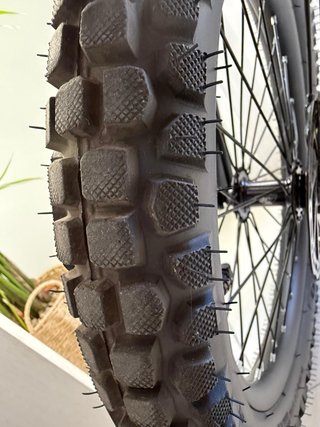 Bicicleta Eléctrica RSN Evo Racing Fat Bike