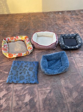 Camas para perro + colchoncito
