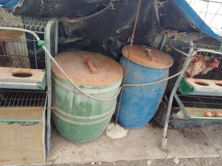 8 Jaulas, comida y gallinas ponedoras