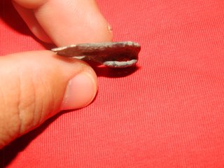 Cabeza de caballo Ibero Romano Latón