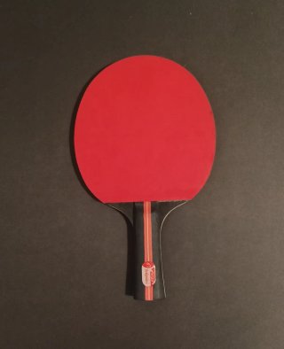 Table Tennis Set - Paddle, Cover & Ball