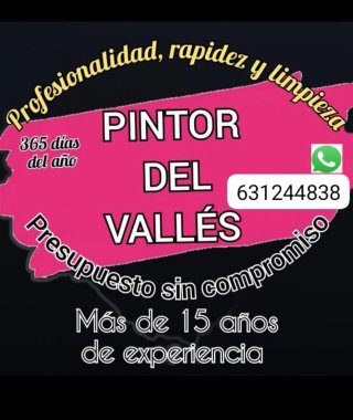Pintor Profesional del Vallés