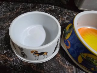 Pack 3 comederos perro (Toy Story, Acero, Perros)