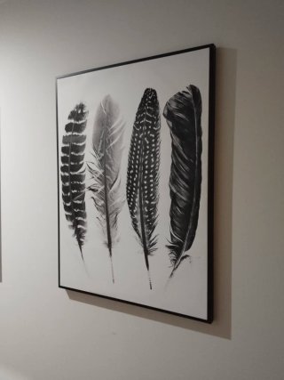 Cuadro Plumas Blanco y Negro