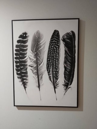Cuadro Plumas Blanco y Negro