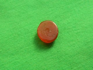 Anillo Ibero Romano Alacrán Piedra Roja