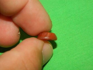 Anillo Ibero Romano Alacrán Piedra Roja