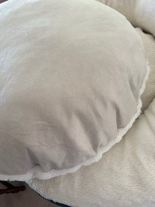Cama para perro grande Kirkland