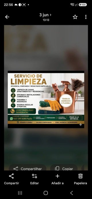 Limpieza general