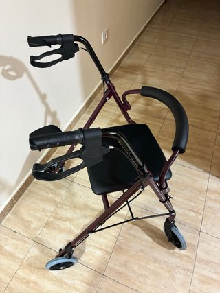 Andador Carro con Asiento