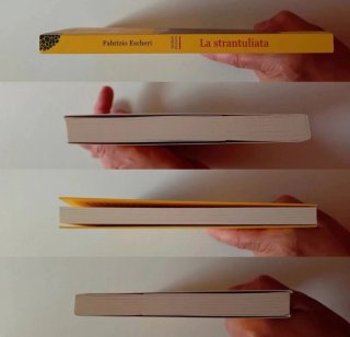 La strantuliata di Fabrizio Escheri