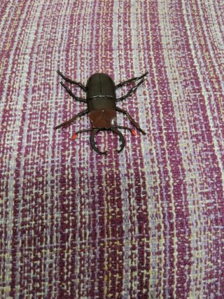 Insectos de juguete variados.