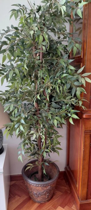 Planta artificial decorativa