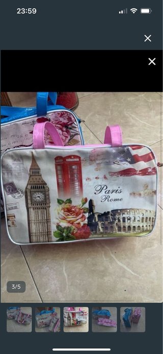 2 Bolsos de Viaje Rosas y Monumentos