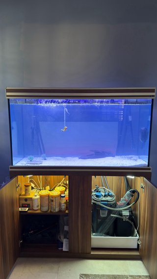 Acuario Aquatlantis completo