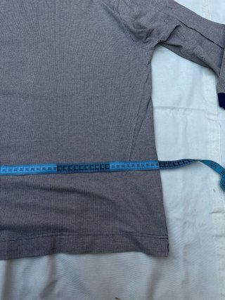 Camiseta Polo Manga Larga Lacoste Gris y azul mari