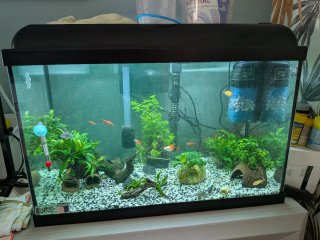 Acuario Ica 60L Completo