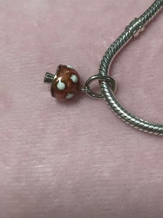 Charm mini Seta