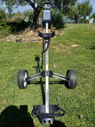 Carrito de Golf 2 Ruedas