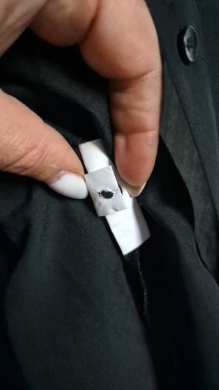 Camicia nera con maniche a campana