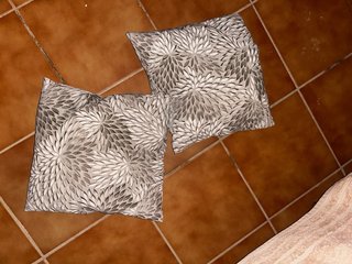 2 Cojines Decorativos