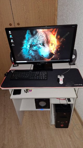 Ordenador y monitor