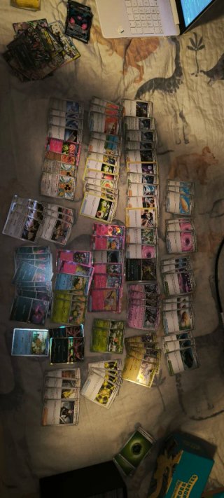 Lote competitivo Pokémon TCG