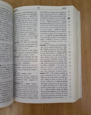 Diccionario
